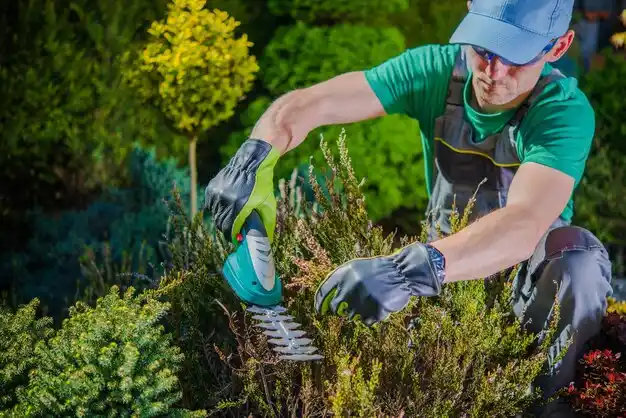 landscaping services Northwood